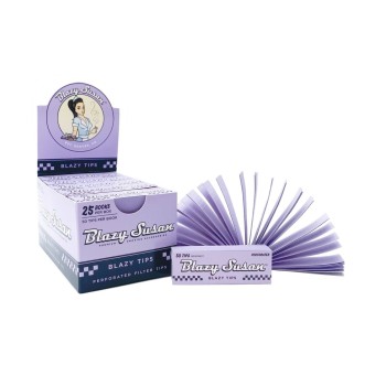 BLAZY SUSAN PURPLE TIPS 25BOOKS OF 50 TIPS