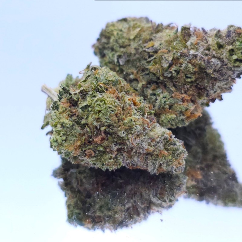 BUDHA PR KILLER KUSH THCA INDICA 50CT BUDHA PR KILLER KUSH THCA INDICA 50CT