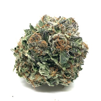 BUDHA PR KILLER KUSH THCA INDICA 50CT