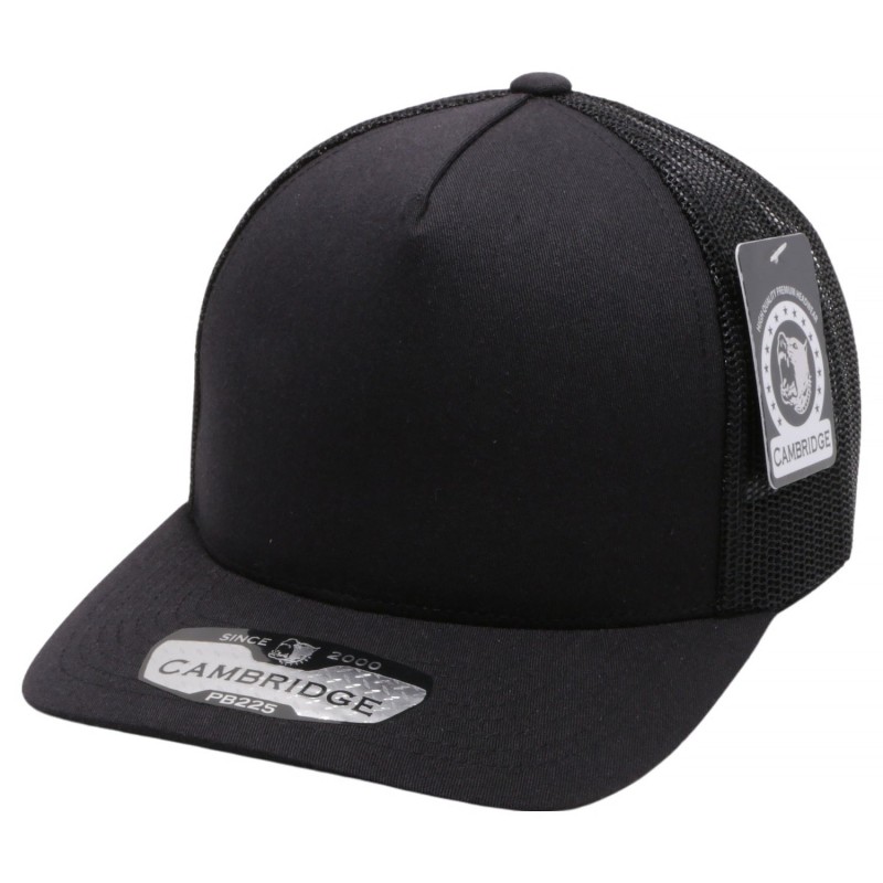 CAPS CAMBRIDGE PB225 CAPS CAMBRIDGE PB225
