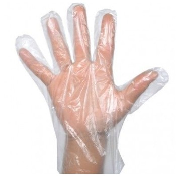 CLEAR POLY GLOVES LARGE 500CT