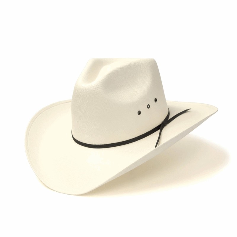 COWBOY HATS HNZ 4881 4820 COWBOY HATS HNZ 4881 4820