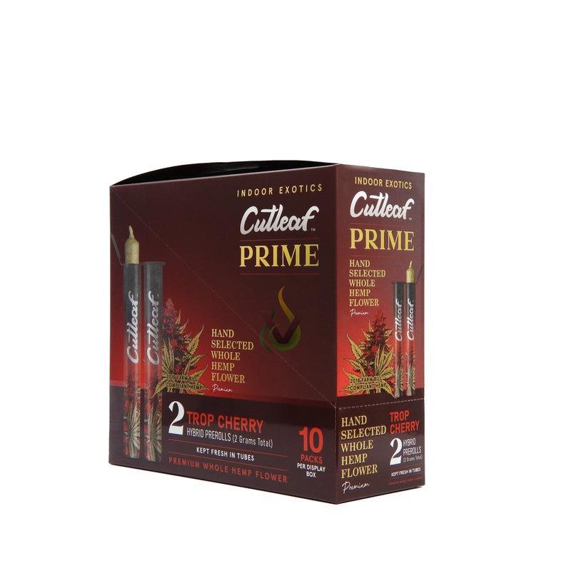 CUTLEAF PRIME HYBRID 1GM 2PK CUTLEAF PRIME HYBRID 1GM 2PK