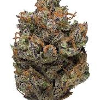 STICKY GREEN 25CT THC-A 29% TUBED PRE ROLL SATIVA PURPLE PUNCH