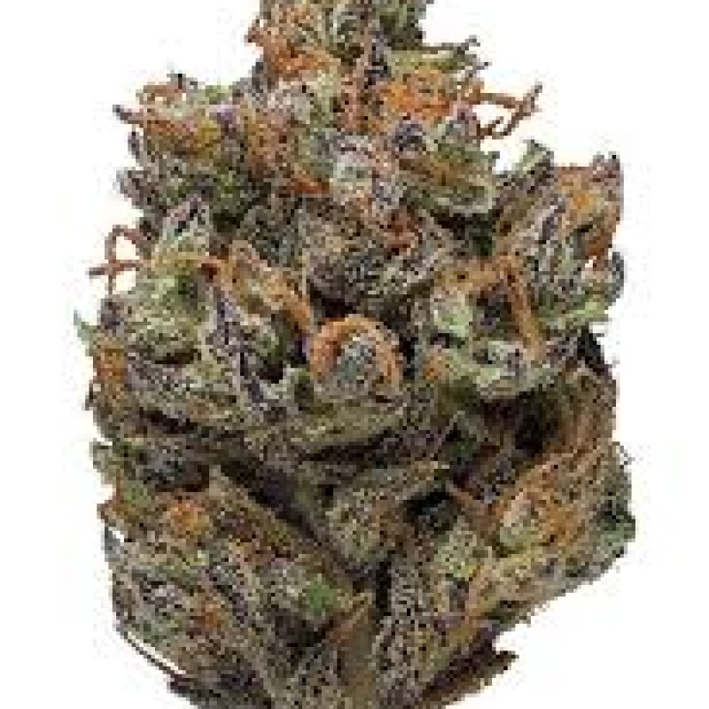 STICKY GREEN 25CT THC-A 29% TUBED PRE ROLL SATIVA PURPLE PUNCH STICKY GREEN 25CT THC-A 29% TUBED PRE ROLL SATIVA PURPLE PUNCH