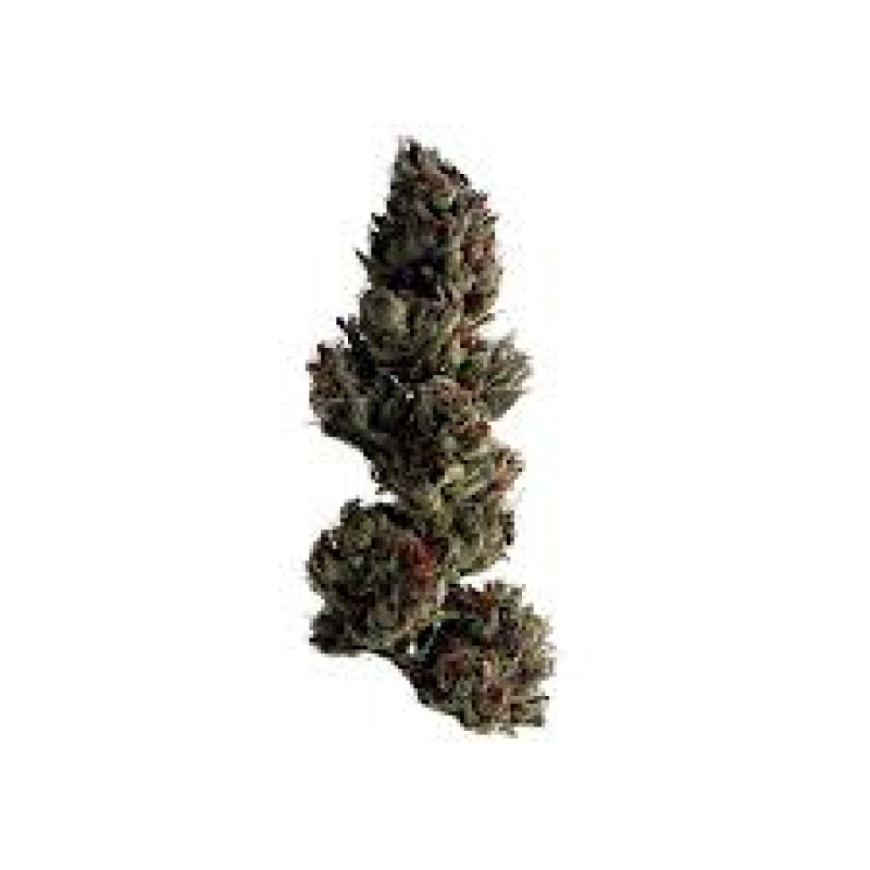 STICKY GREEN CANDY COLLECTION KANDY CANE AAA INDICA 2.5GM 2PK 10 STICKY GREEN CANDY COLLECTION KANDY CANE AAA INDICA 2.5GM 2PK 10
