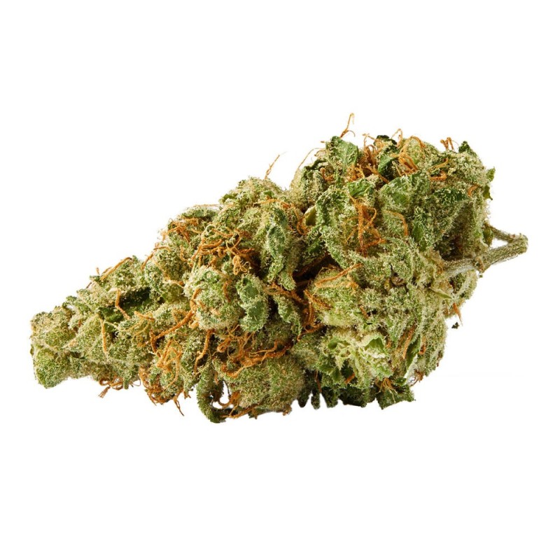 STICKY GREEN FLOWERS INDICA GOLDEN GOAT GOLD THC A 3.5 GM STICKY GREEN FLOWERS INDICA GOLDEN GOAT GOLD THC A 3.5 GM