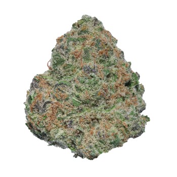 THE DOPE HYBRID 30CT SUPER BUFF CHERRY